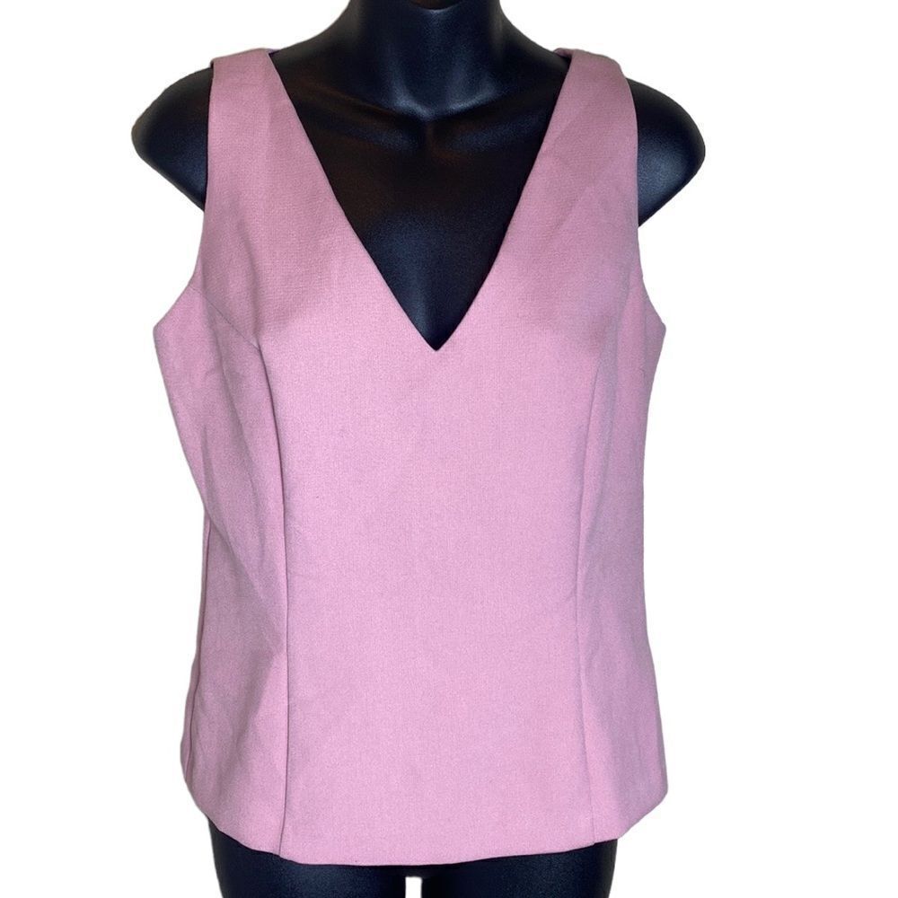 Amy Matto New York vivian top blush NWT small ballerina Corpcore office